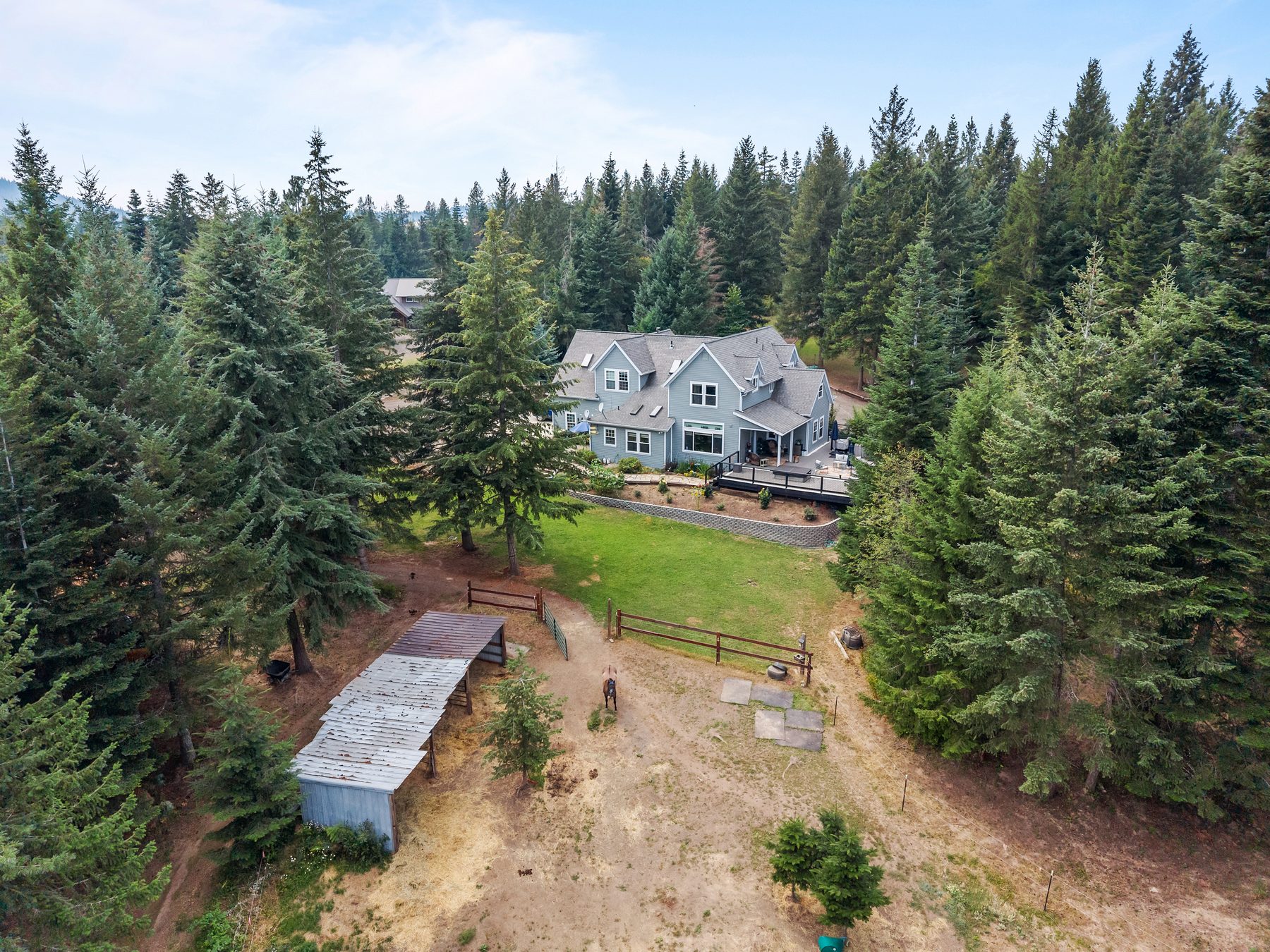 Aerial view of a home set among tall pines