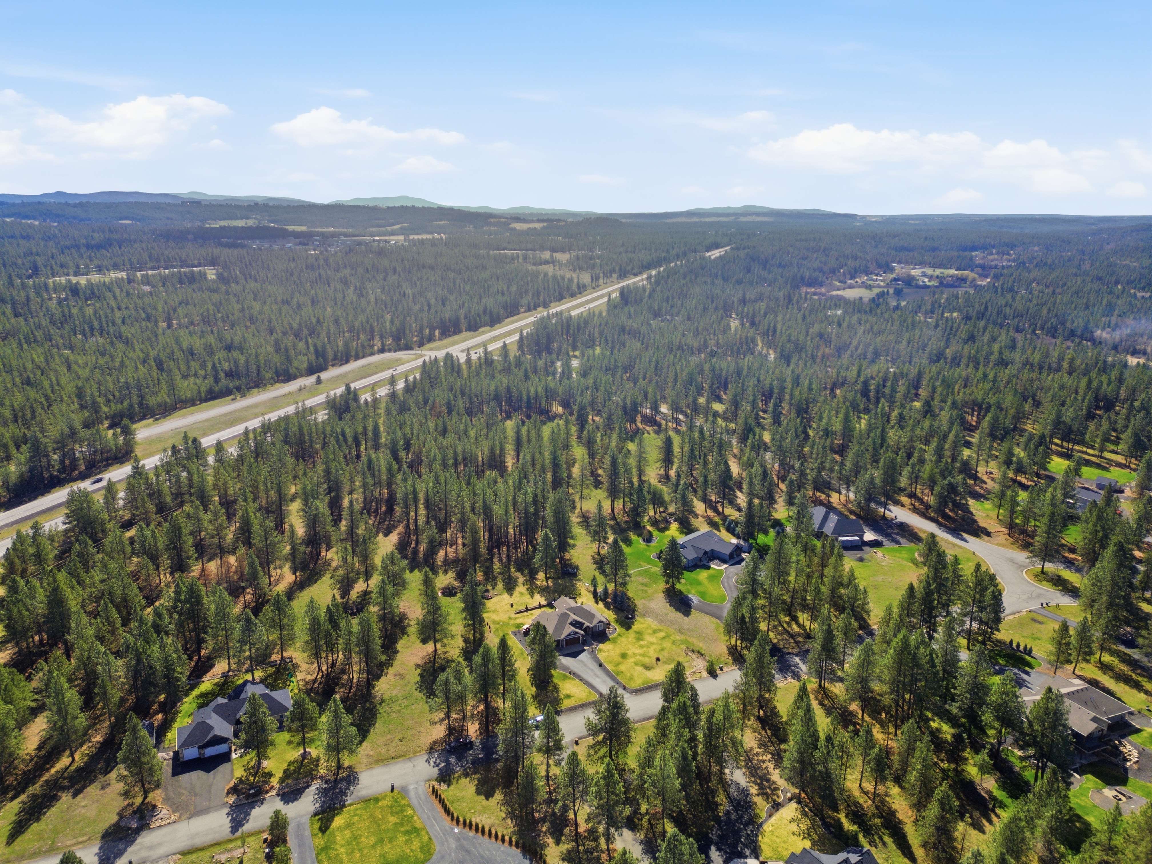 Aerial pine forest property